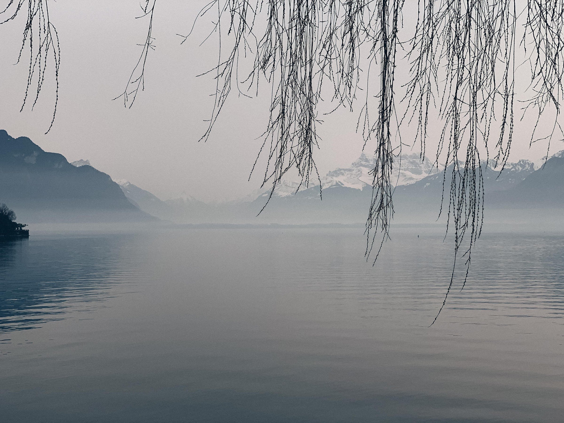 Camping de la Maladaire (La Tour‑de‑Peilz)